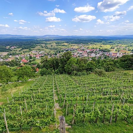 Zidanica-Vineyard Cottage Jakse Semic Exteriör bild