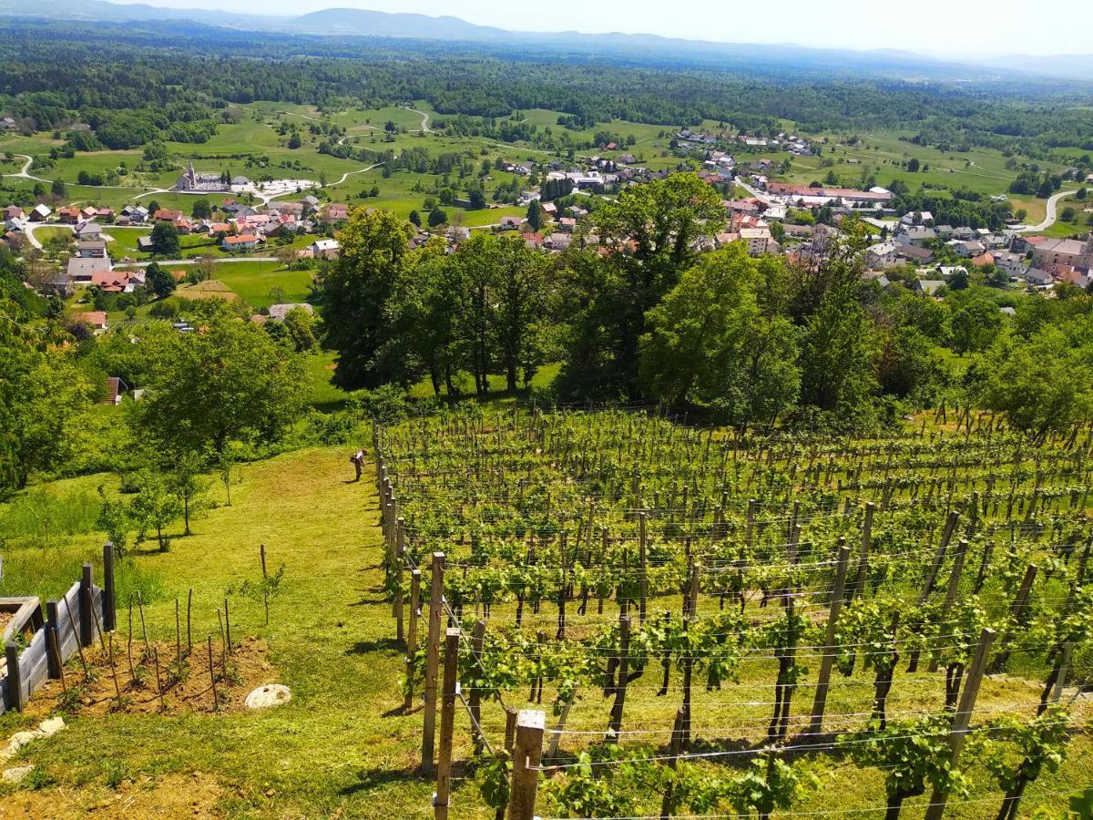 Zidanica-Vineyard Cottage Jakse Semic Exteriör bild
