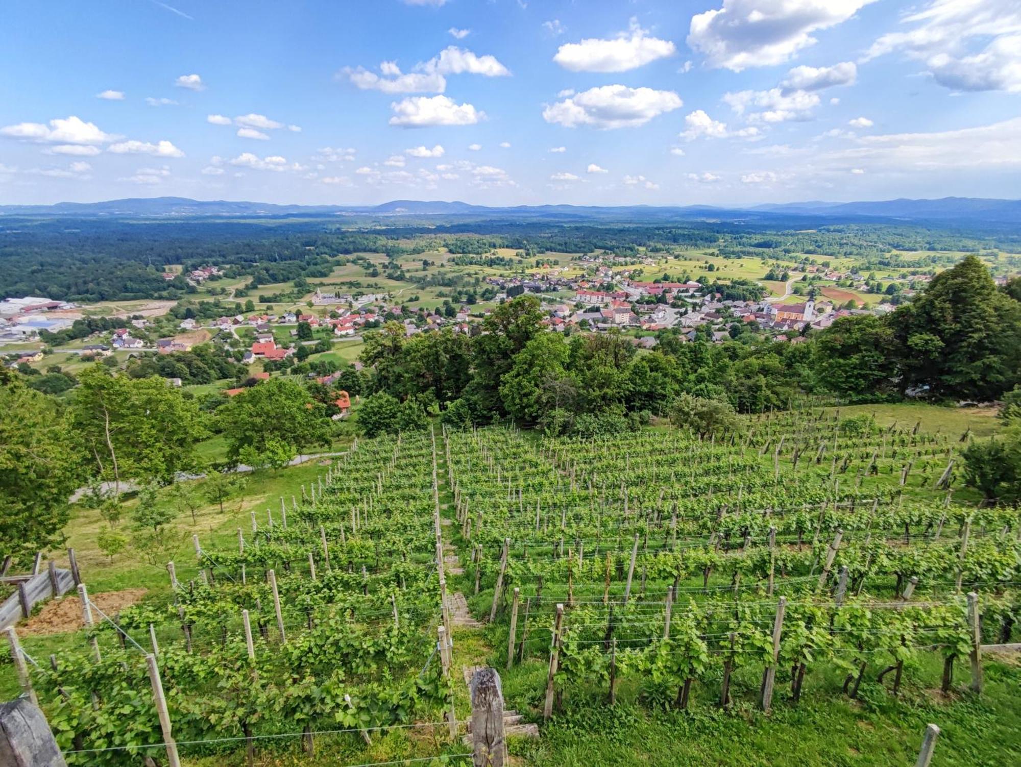 Zidanica-Vineyard Cottage Jakse Semic Exteriör bild